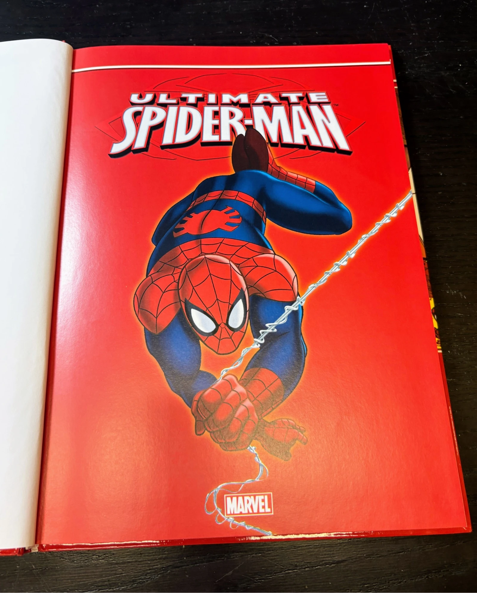 Ultimate Spider-Man: Agent of S.H.I.E.L.D! | Marvel First Level – photo 2